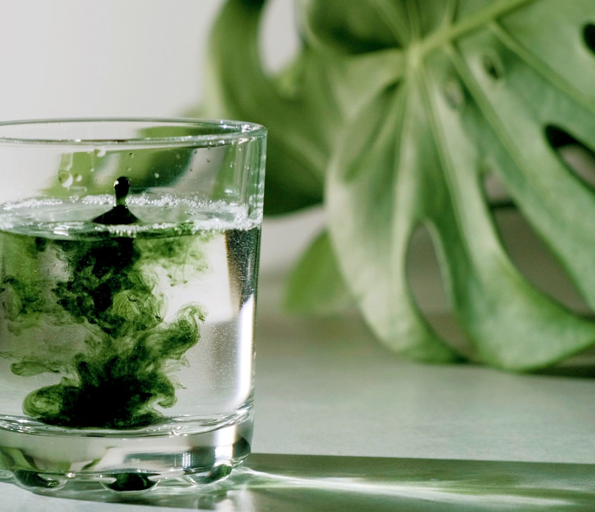 Chlorophylle Liquide : Bienfaits, Posologie et Avis - Superskin Chlorophylle Liquide : Bienfaits, Posologie et Avis - Superskin