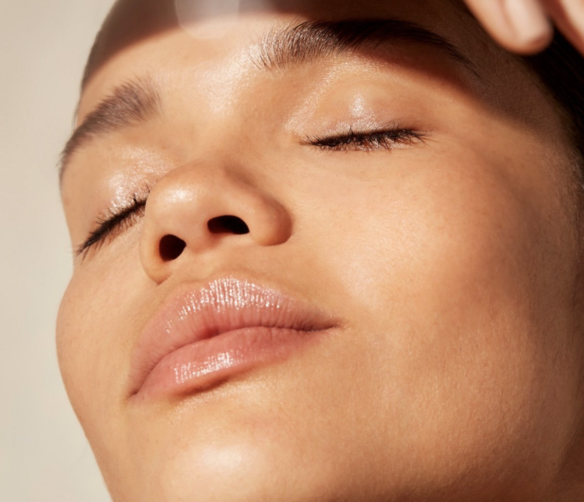 Guide des Bonnes Pratiques