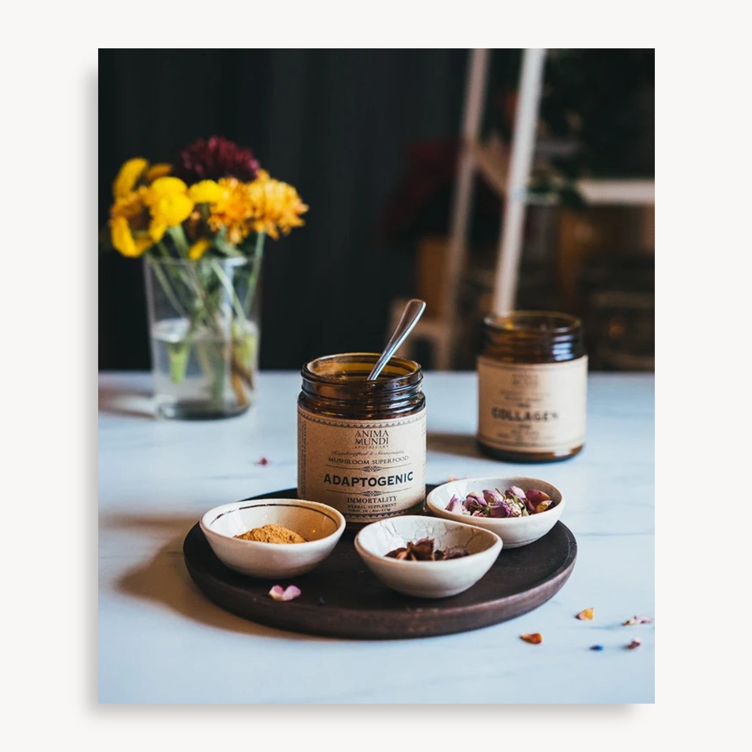 Adaptogenic en Poudre - Anima Mundi