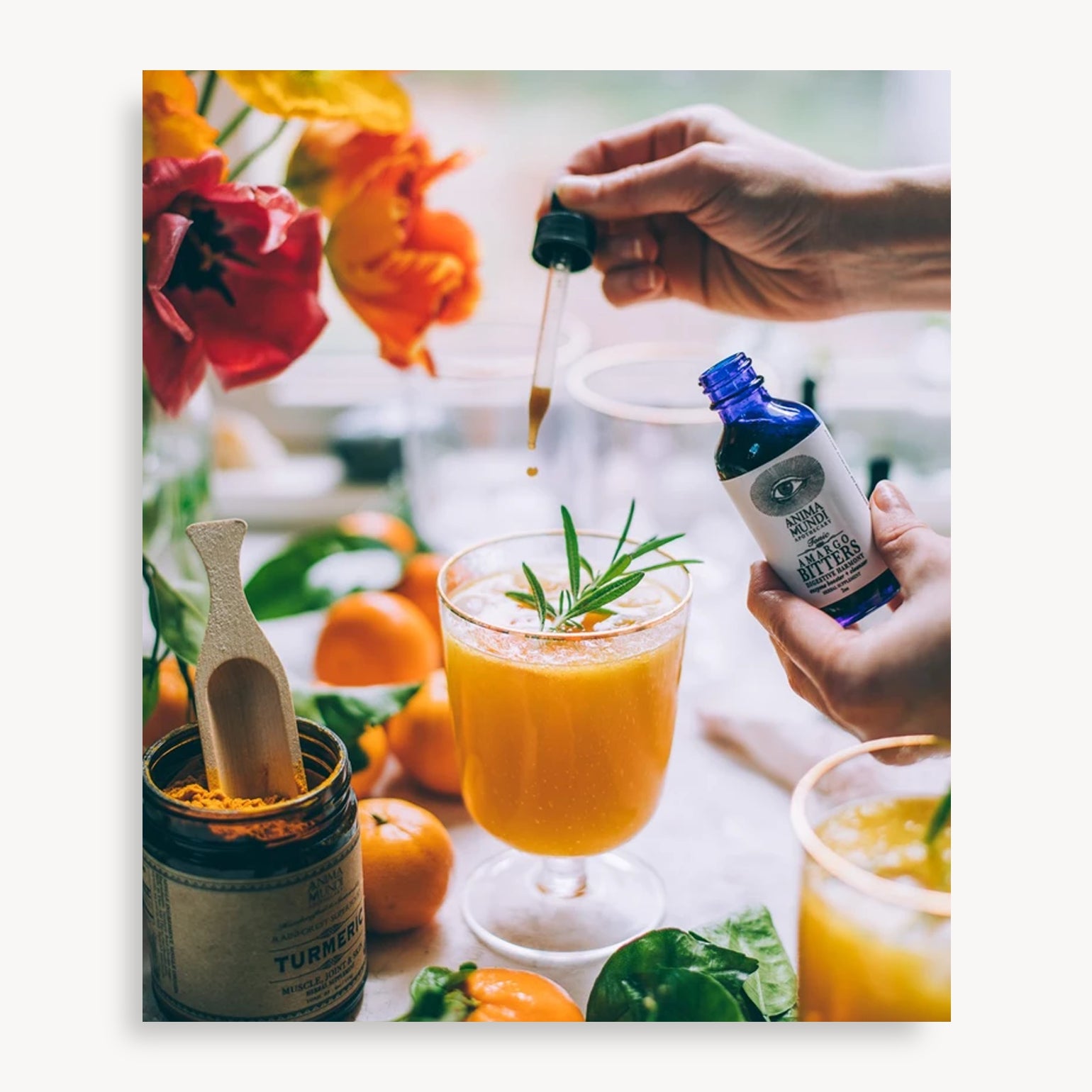 Amargo Jungle Bitters - Anima Mundi