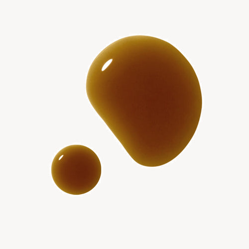 Cerebrum Tonic | Mémoire + Soutien Cognitif - Anima Mundi. Liquide.