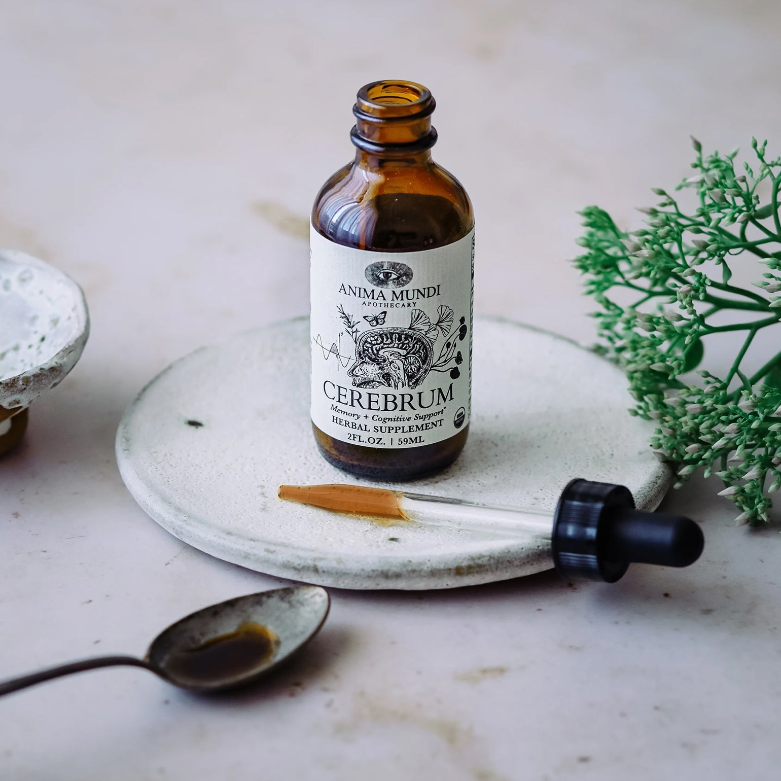 Cerebrum Tonic | Mémoire + Soutien Cognitif - Anima Mundi. Adaptogène.