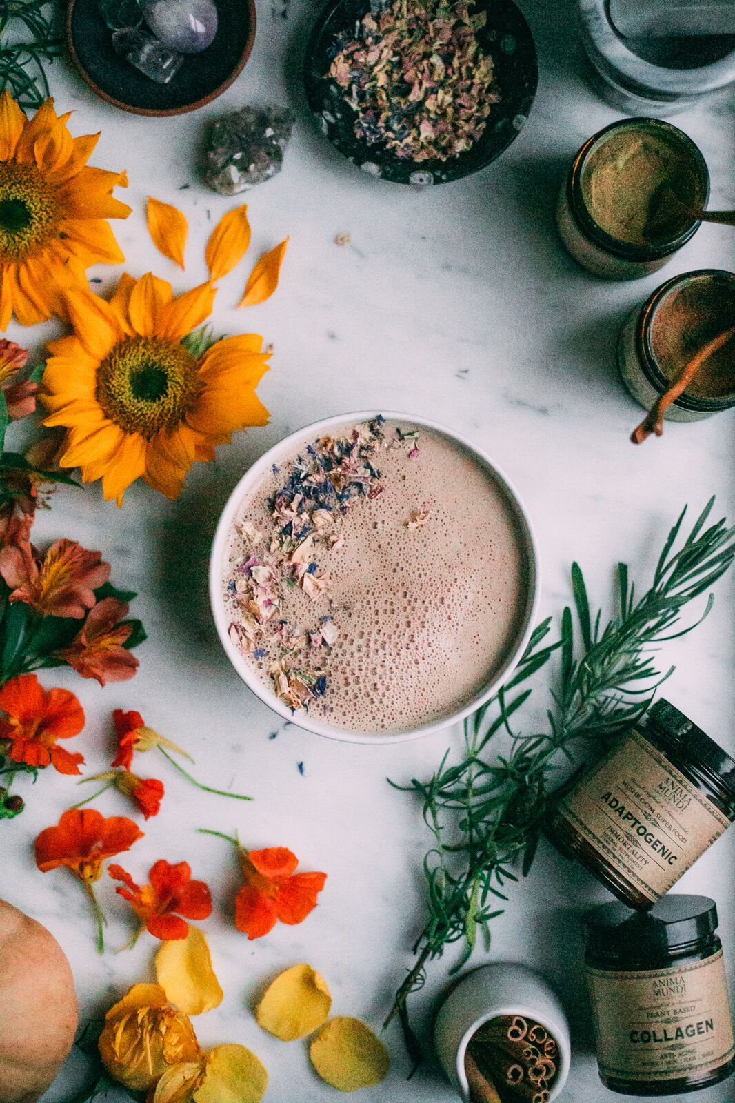 Adaptogenic Powder – Anima Mundi