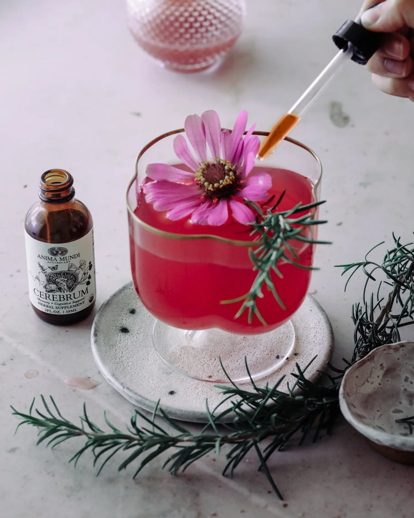 Cerebrum Tonic | Nootropic + Cognitive Support – Anima Mundi