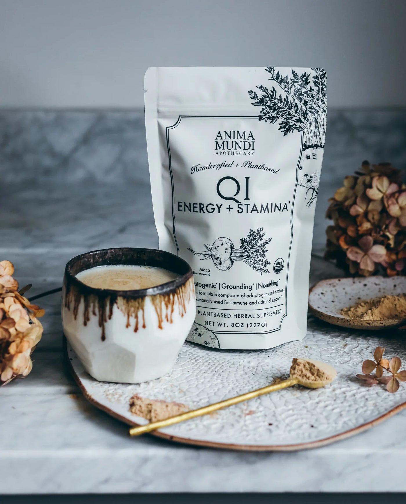 Qi Energy + Protein – Anima Mundi