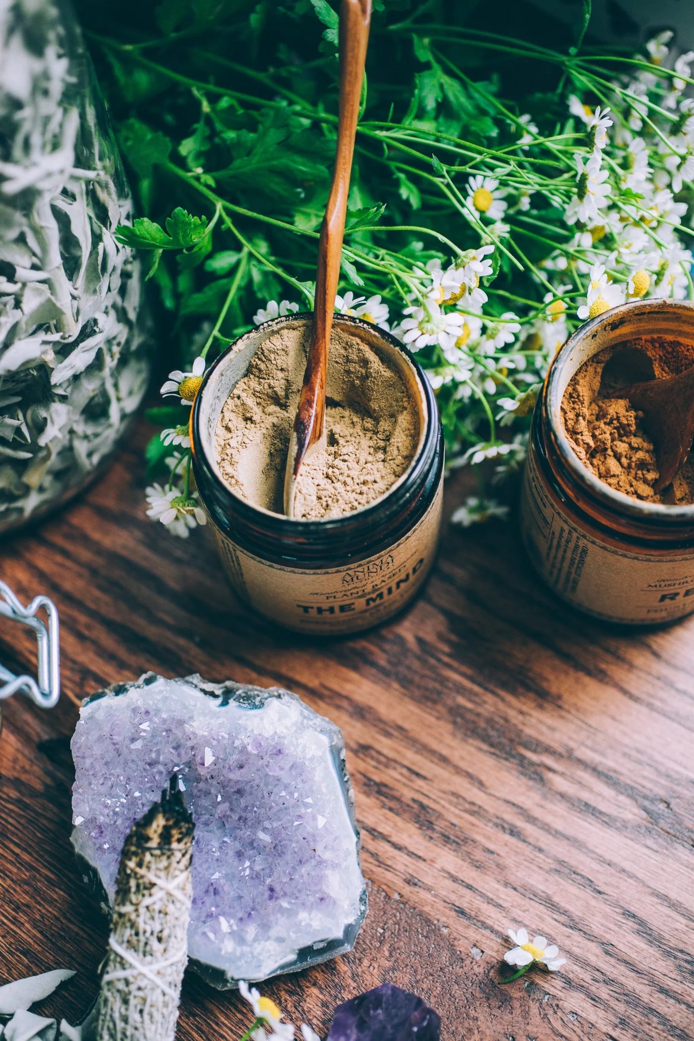 The Mind – Anima Mundi