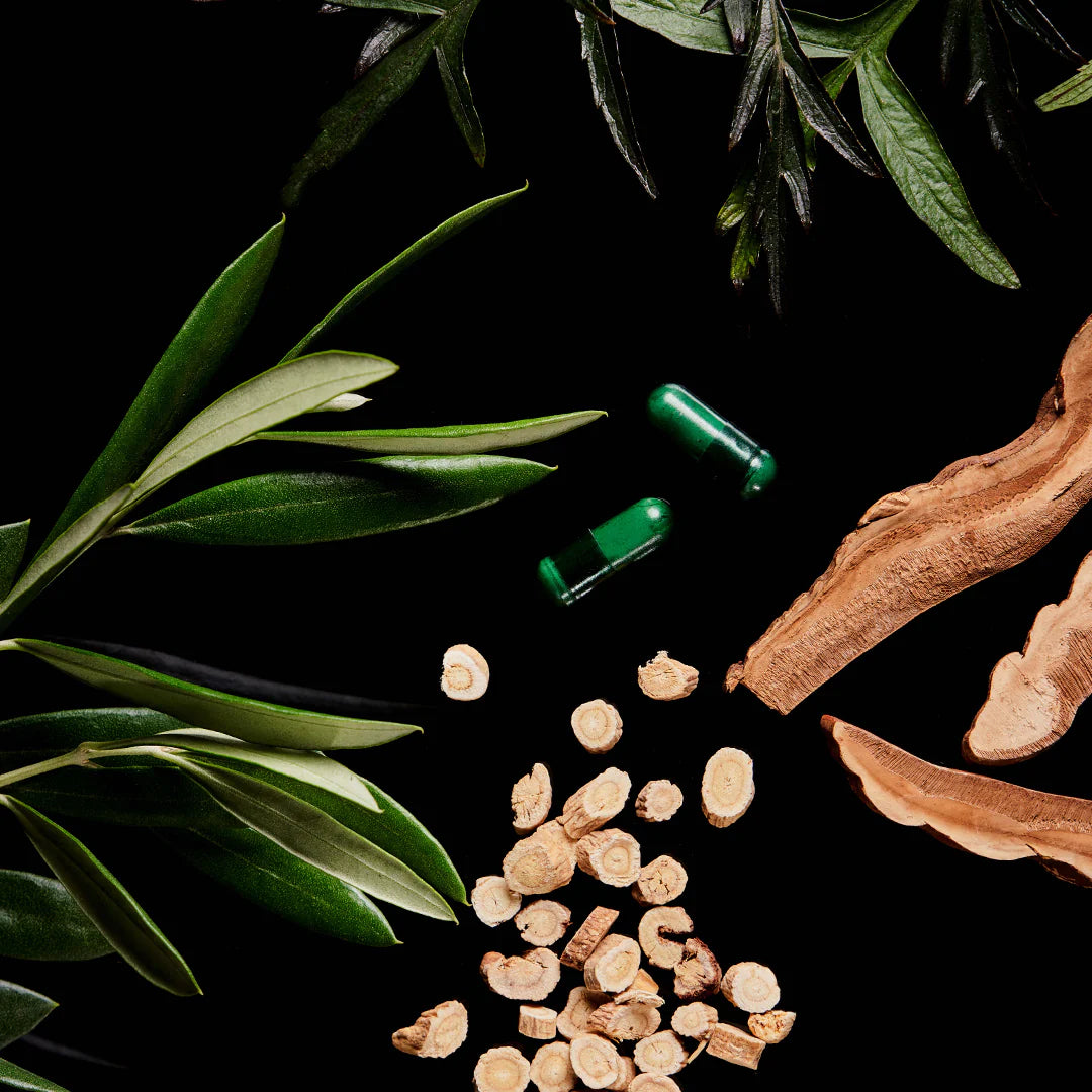 The Immune Elixir – WelleCo