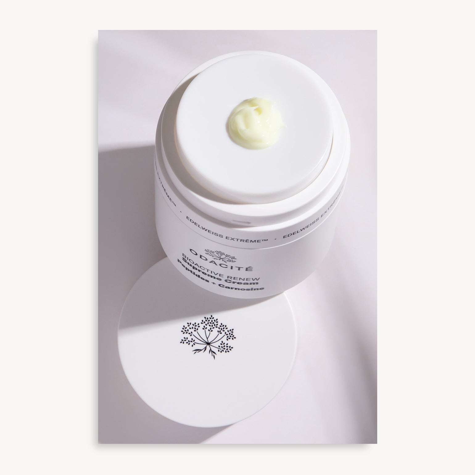 Crème Suprême Bioactive Renew à l'Edelweiss - Odacité