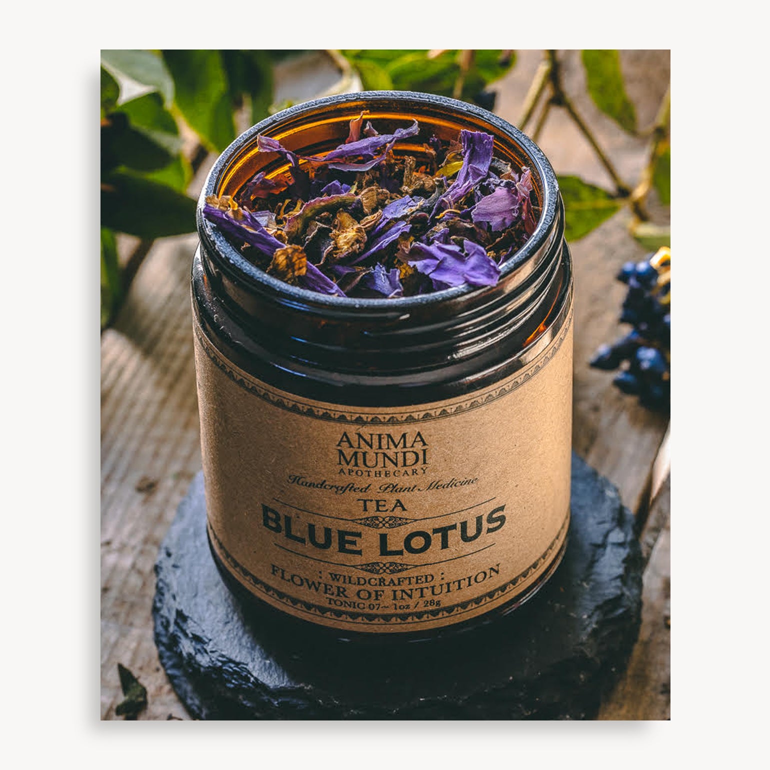 Blue Lotus - Anima Mundi