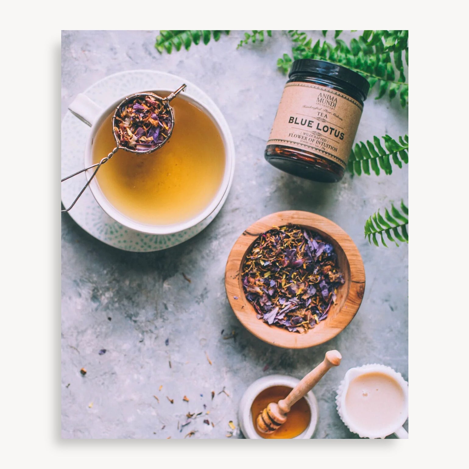 Blue Lotus - Anima Mundi