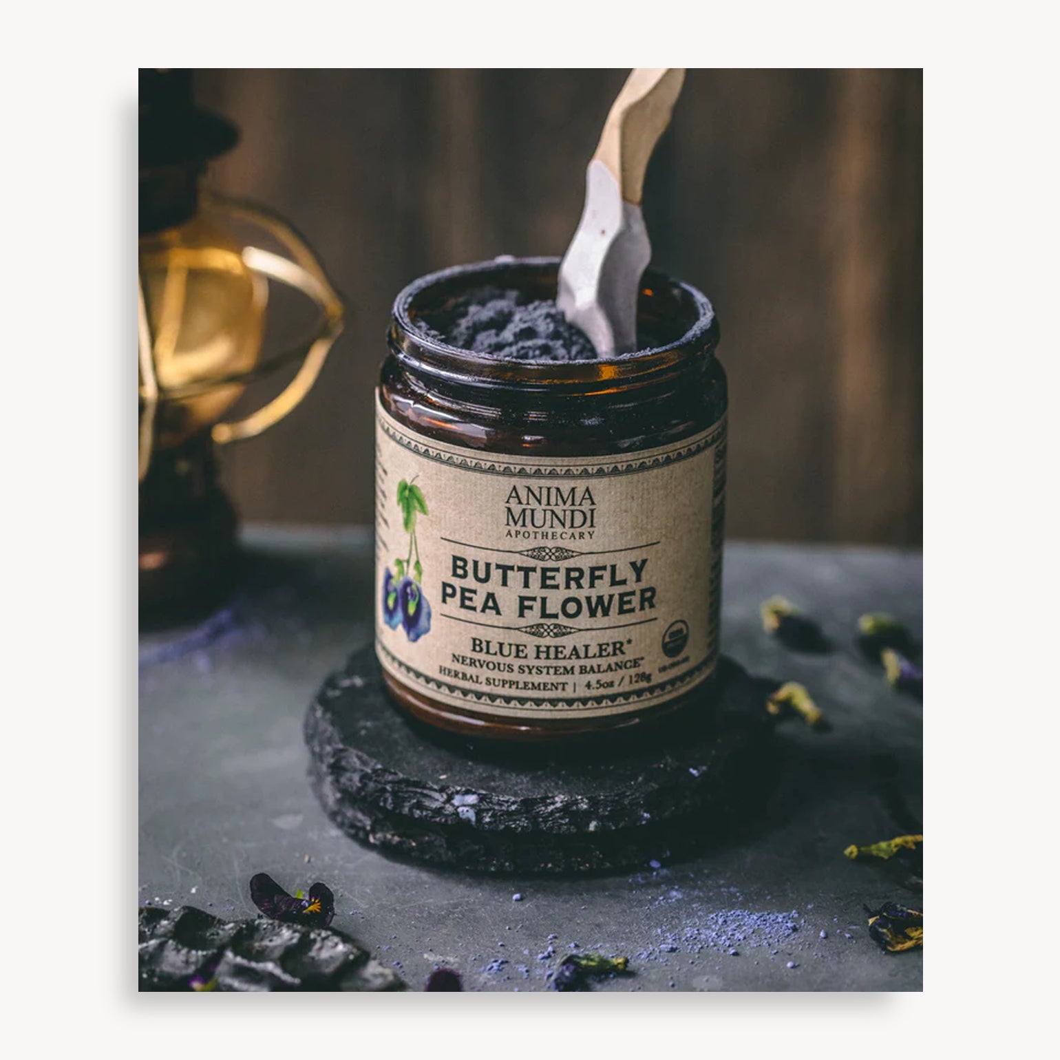 Butterfly Pea Flower - Anima Mundi
