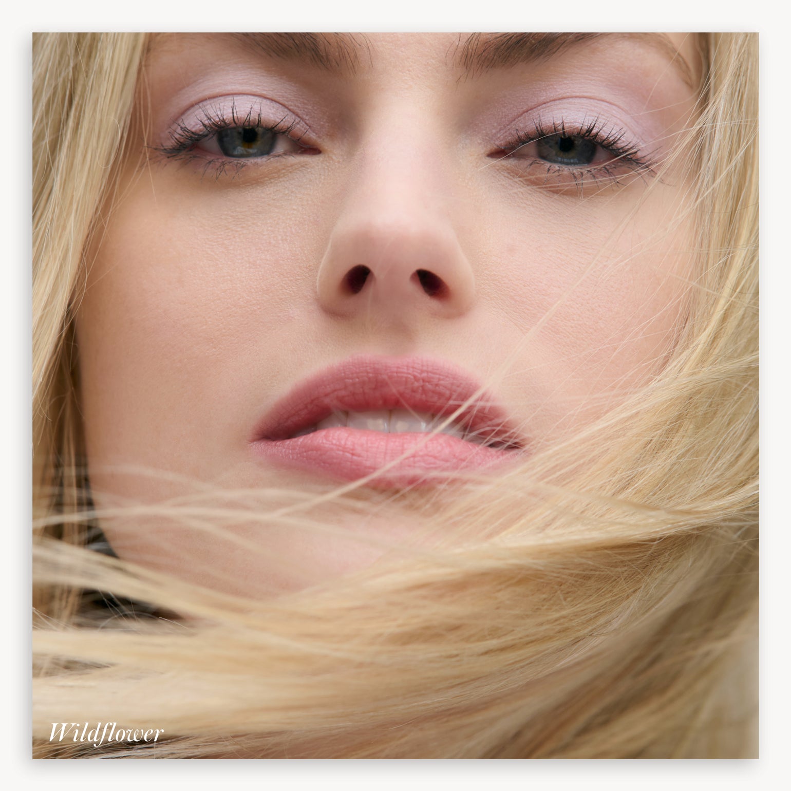 Cashmere Matte Eyelights - RMS Beauty - Wildflower