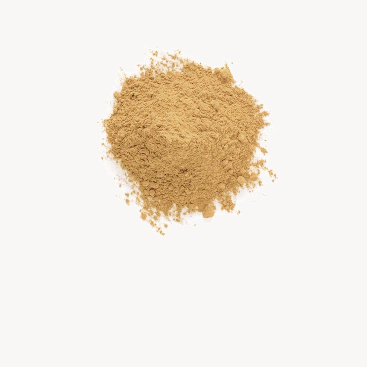 Cordyceps - Anima Mundi