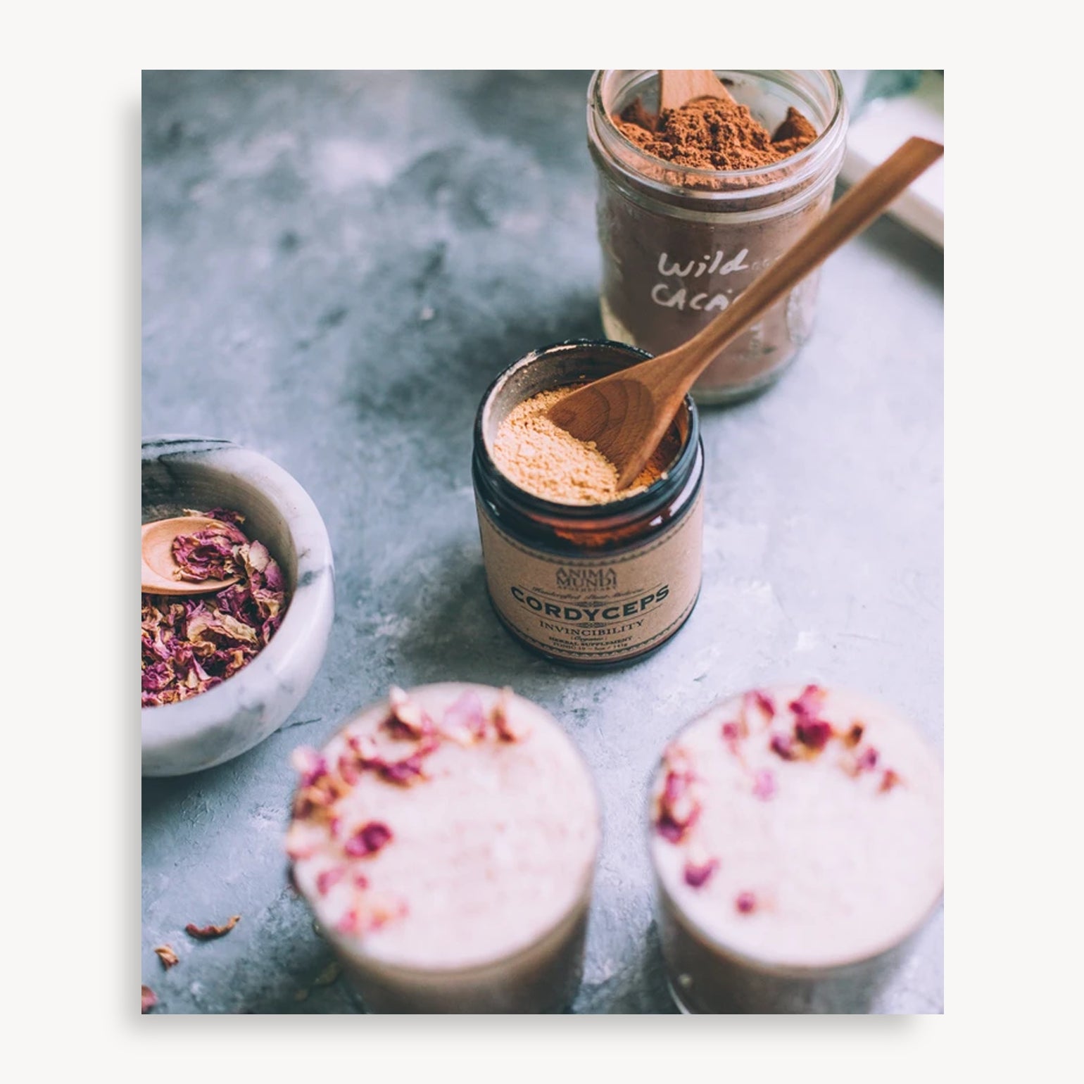 Cordyceps - Anima Mundi