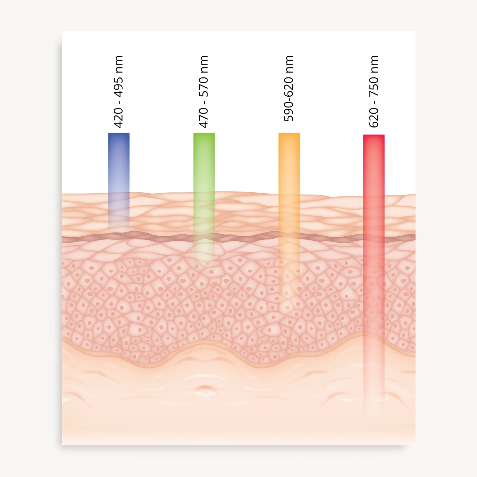 How to glow - Masque LED pour le visage Light Therapy - Solaris Laboratories NY