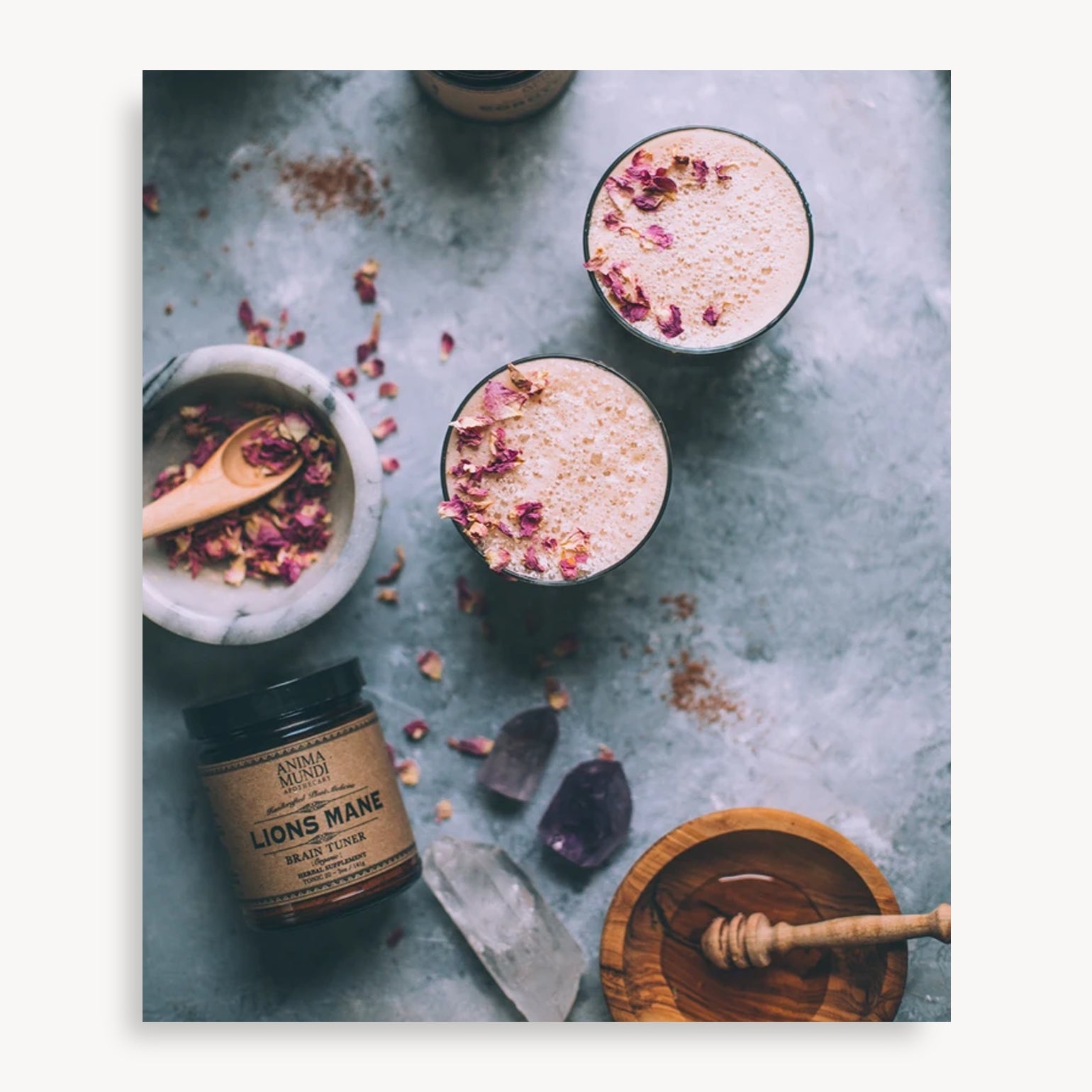 Lion's Mane - Anima Mundi