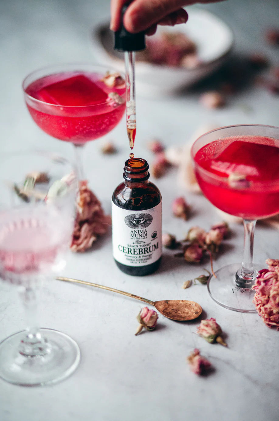 Cerebrum Tonic | Nootropic + Cognitive Support – Anima Mundi