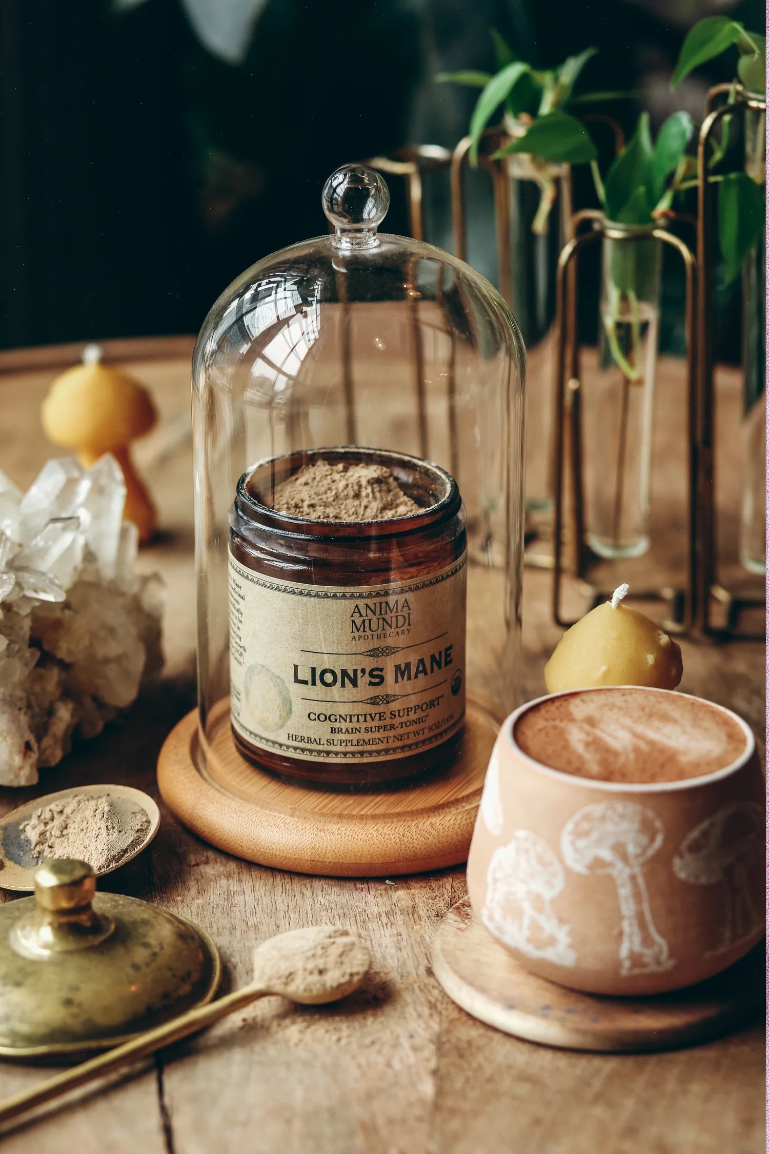 Lion's Mane – Anima Mundi