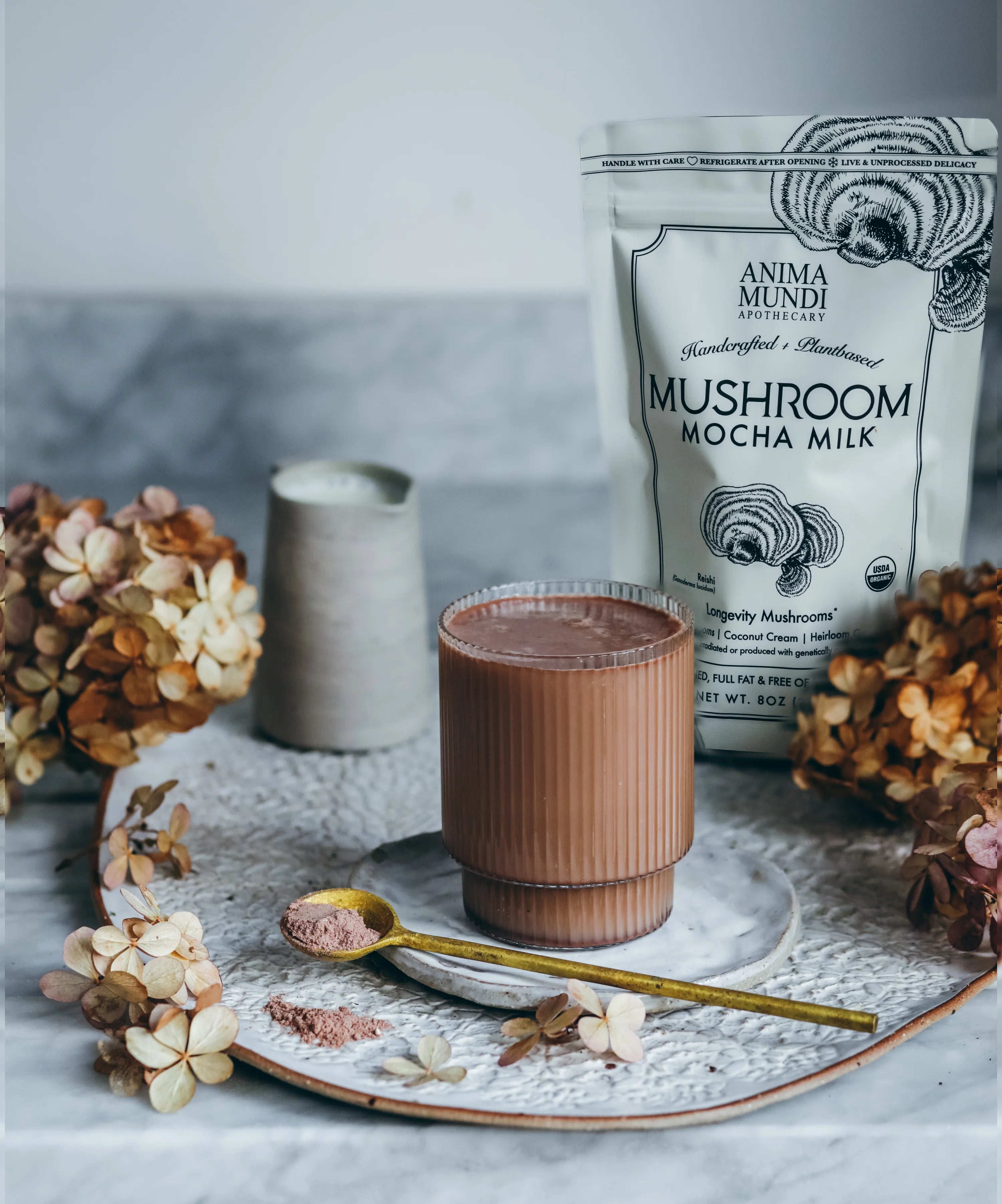 Mushroom Mocha Milk – Anima Mundi