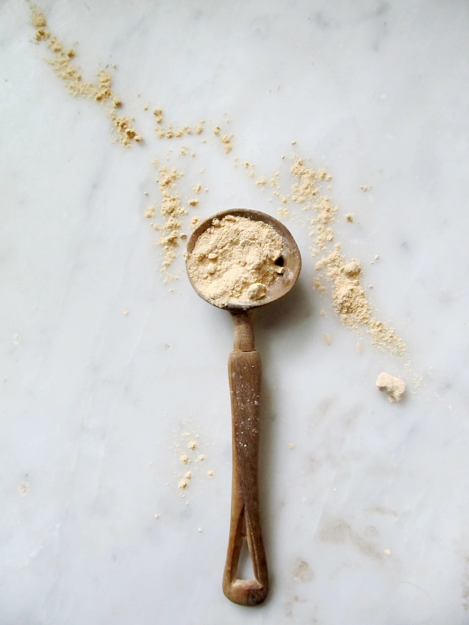 Qi Energy + Protein – Anima Mundi