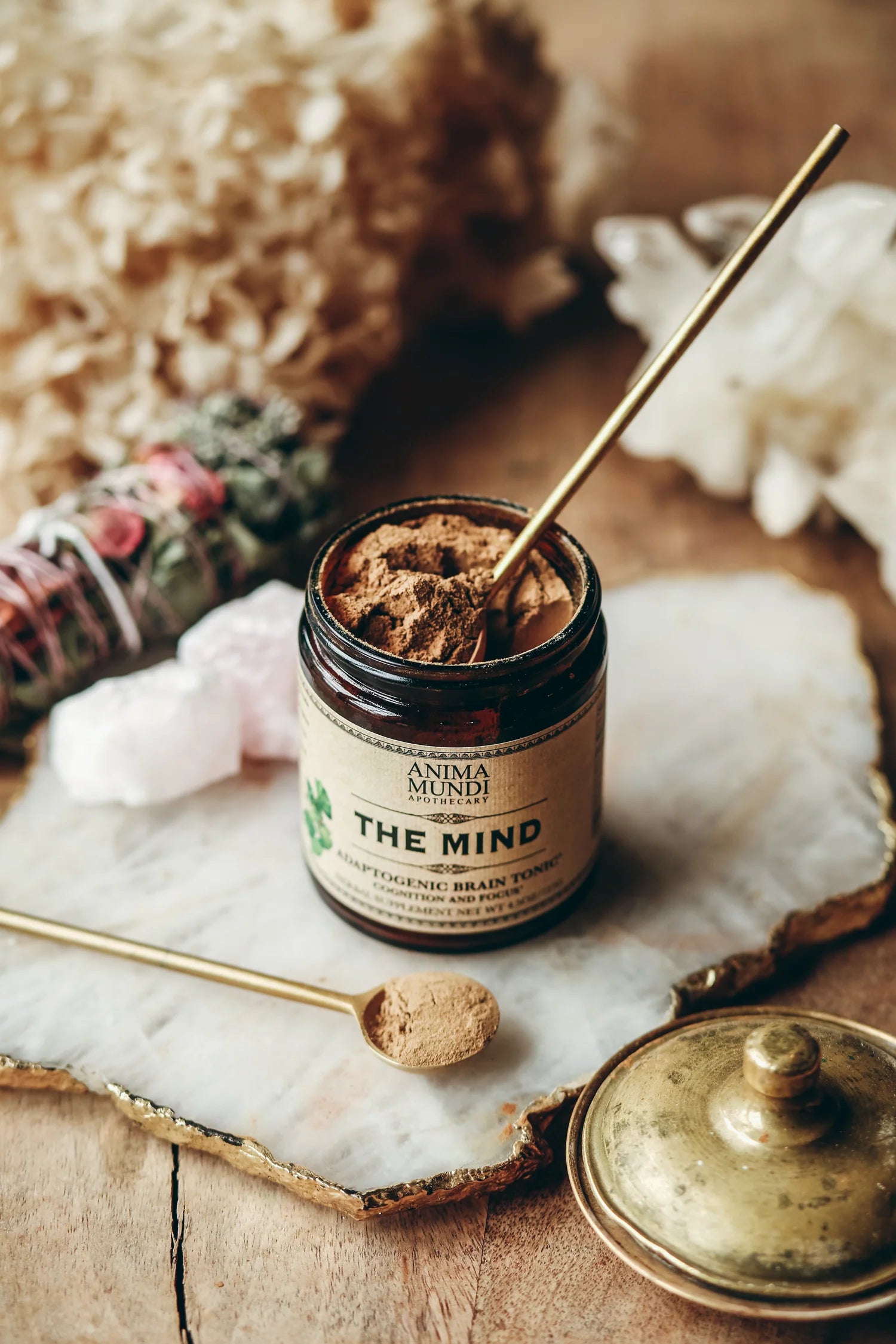 The Mind – Anima Mundi