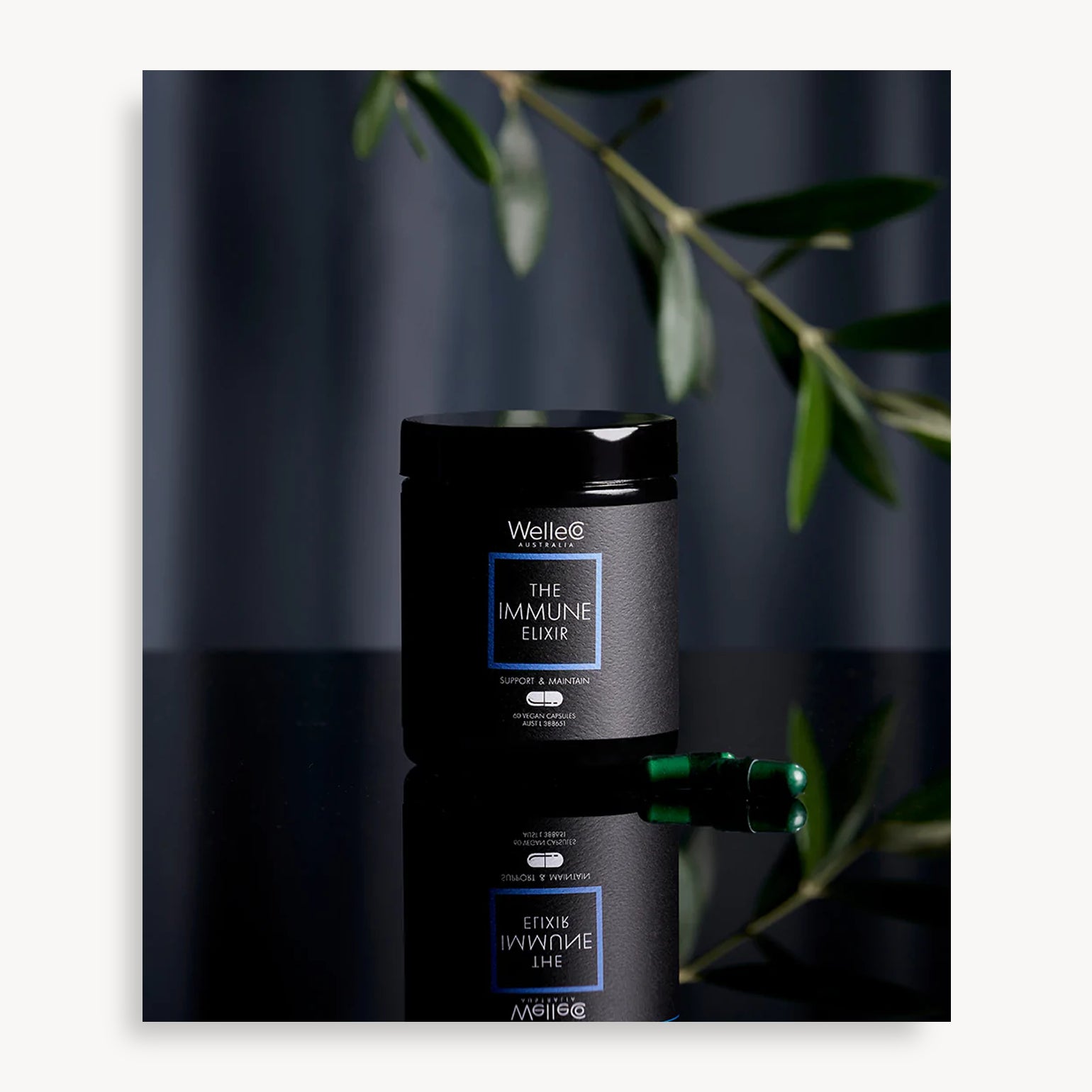 The Immune Elixir - WelleCo